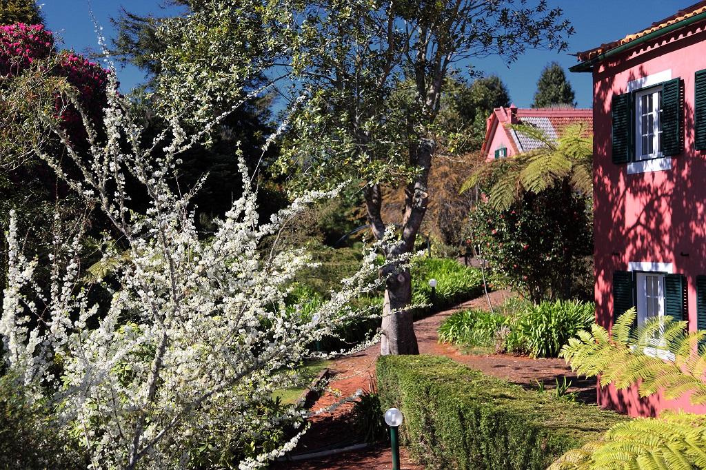 Quinta Santo Antonio Da Serra Екстер'єр фото