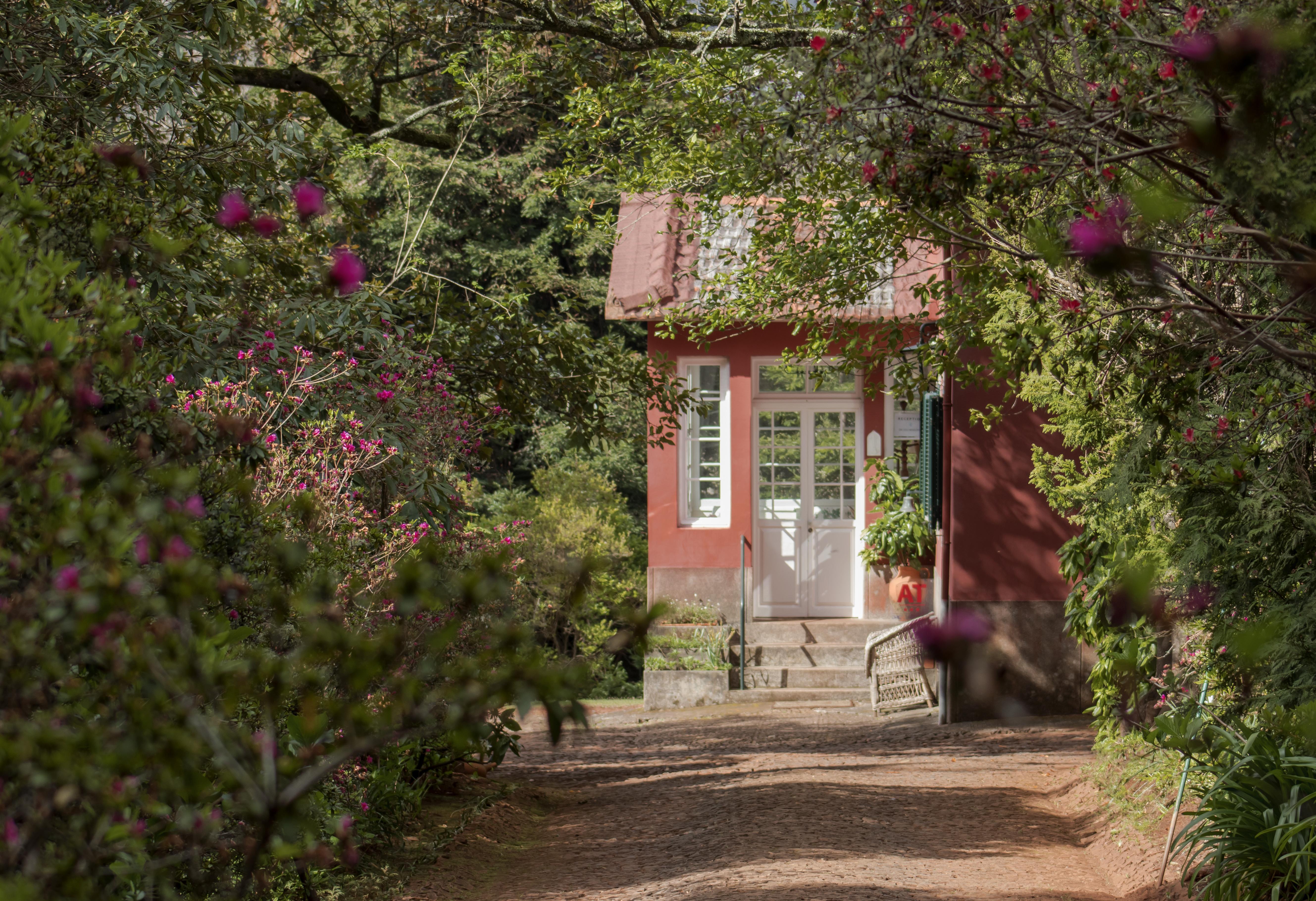 Quinta Santo Antonio Da Serra Екстер'єр фото