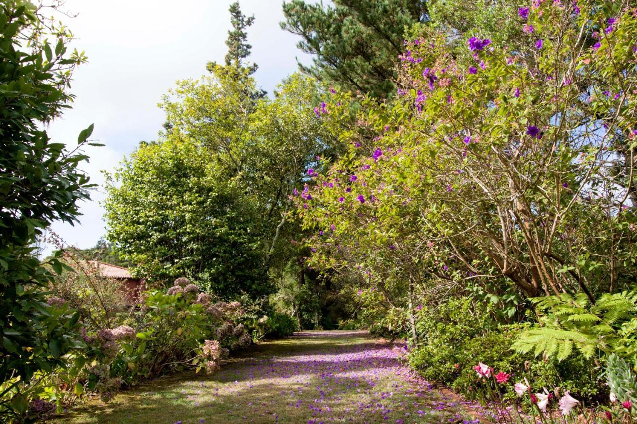 Quinta Santo Antonio Da Serra Екстер'єр фото